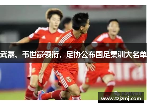 武磊、韦世豪领衔，足协公布国足集训大名单